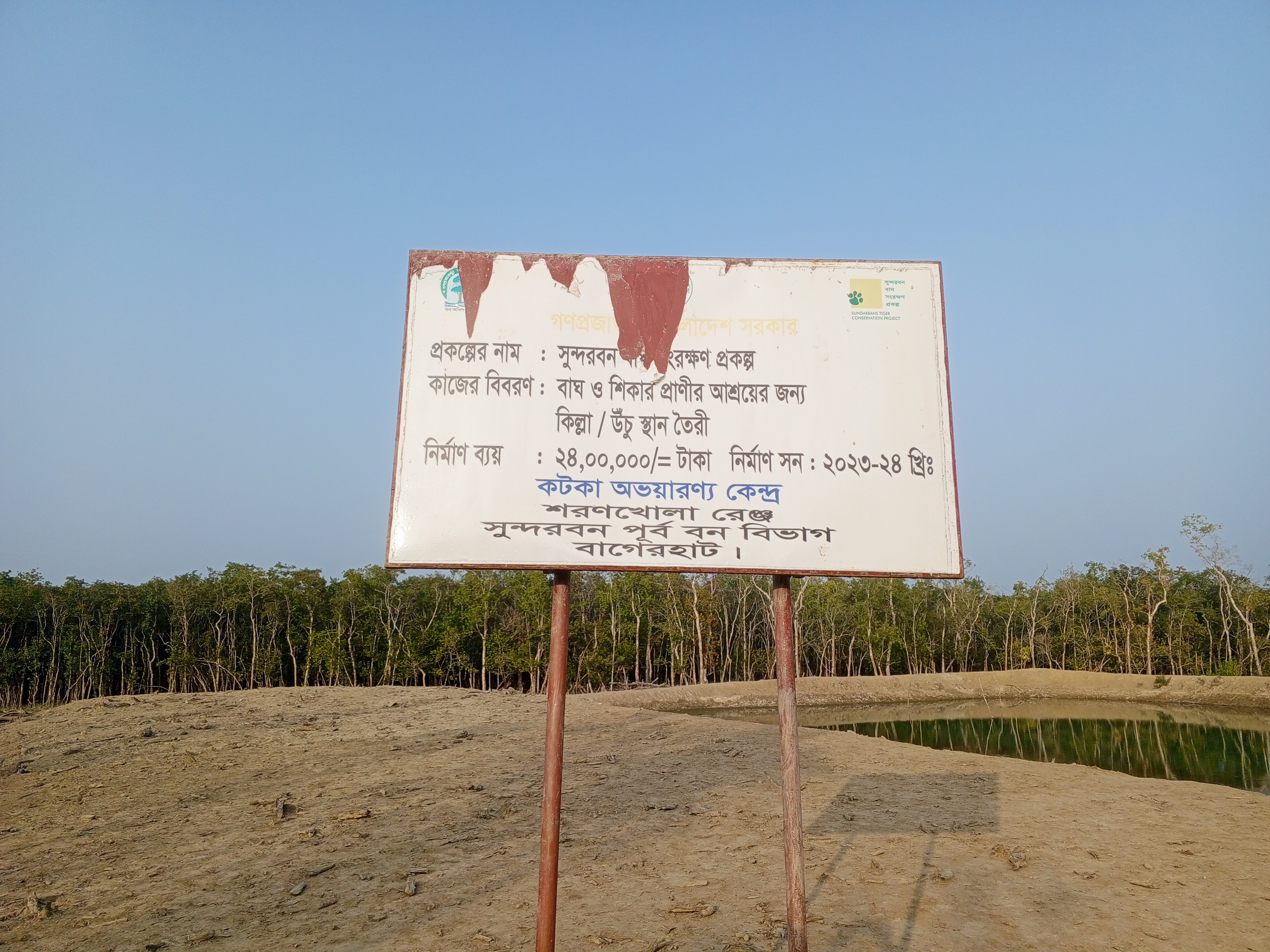 'Tiger Tillas' provide safe shelter for Sundarbans wildlife 