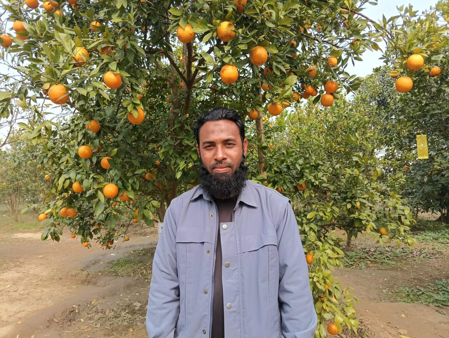 Hanif creates a sensation with malta cultivation in Rajshahi