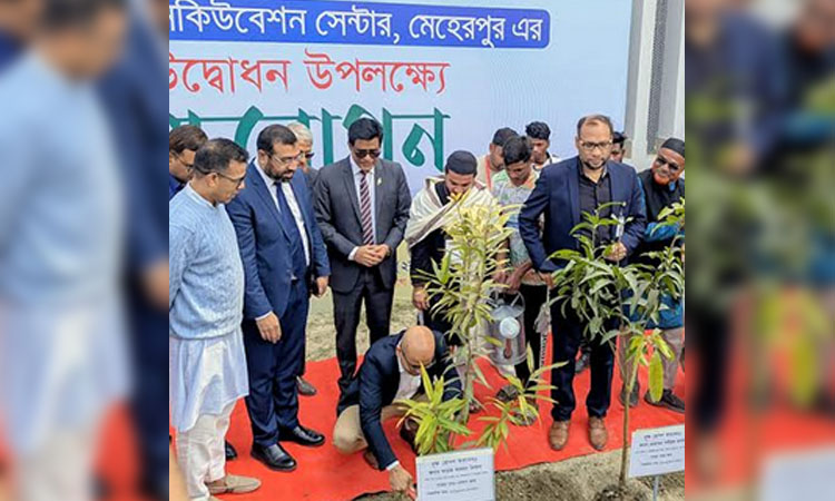 Meherpur IT Training Center launched to foster startup ecosystem