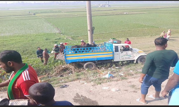 Two killed, 10 injured in Kishoreganj road accident