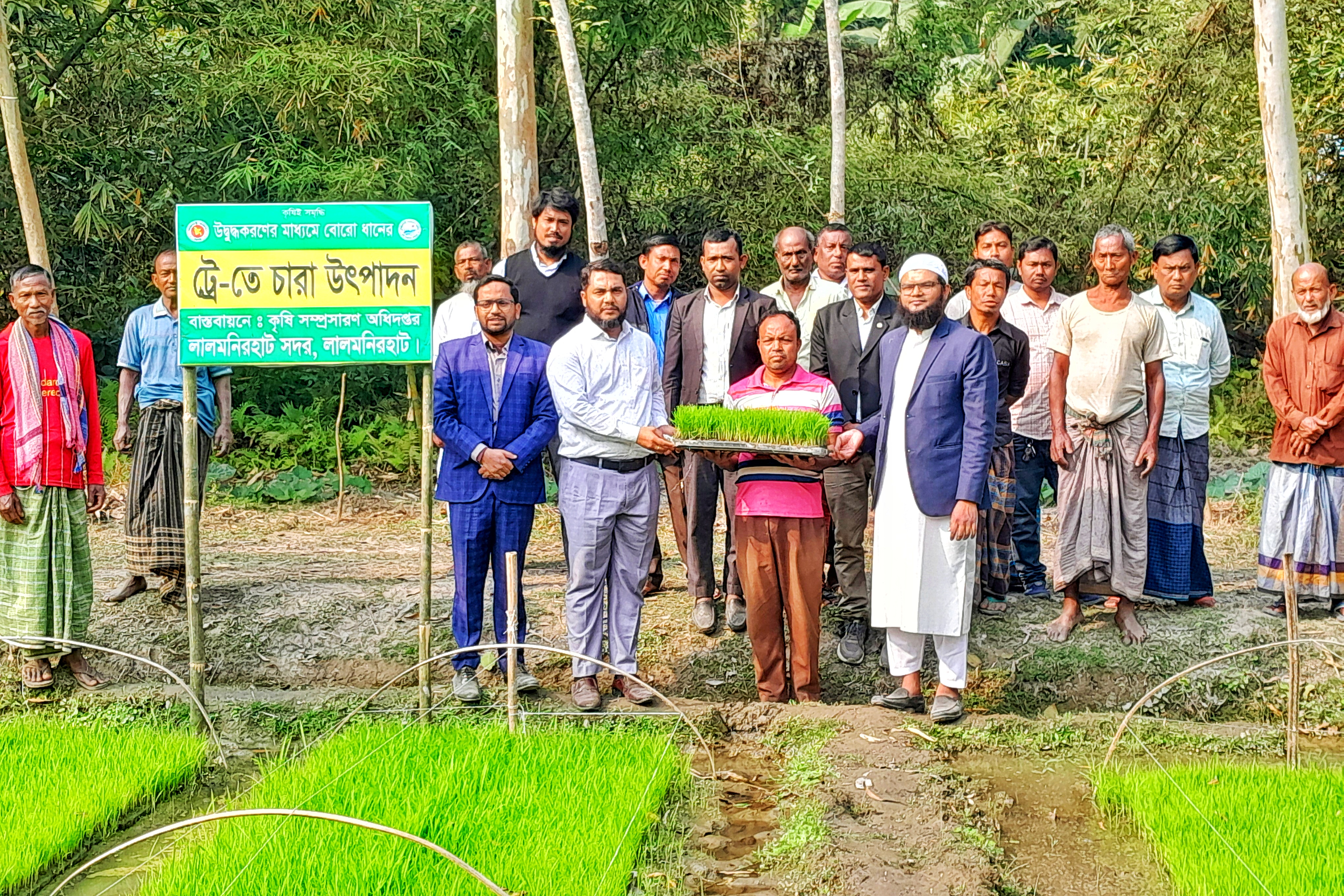 Planting paddy with rice transplanters inaugurated in Lalmonirhat