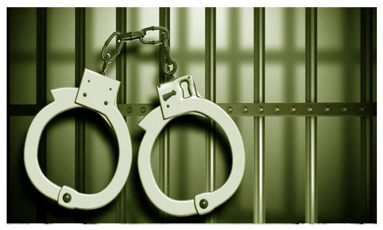 Joint forces arrest one with foreign pistol, ammo in Pallabi