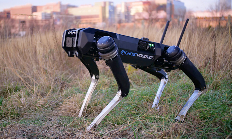 Robot dogs to help Mexican police at 2026 World Cup