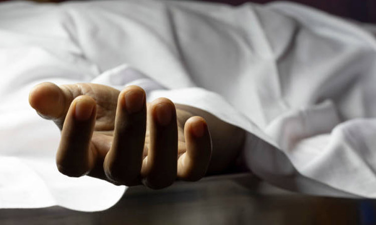 Woman killed after being hit by train in Bogra