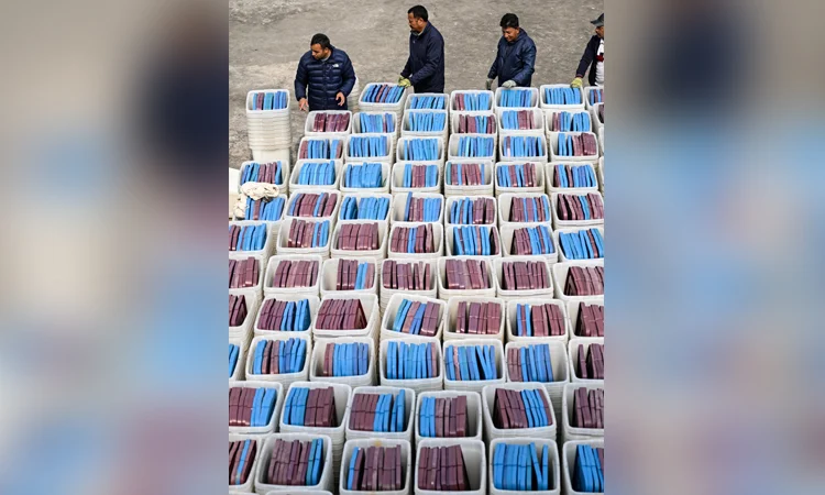 Nepal launches campaigns for first post-uprising polls