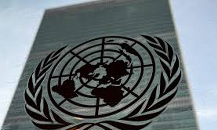 UN calls for scam centre clampdown amid 'staggering' abuses
