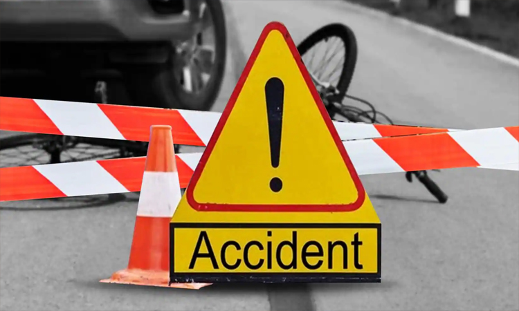 Father, son killed in Jamalpur road crash