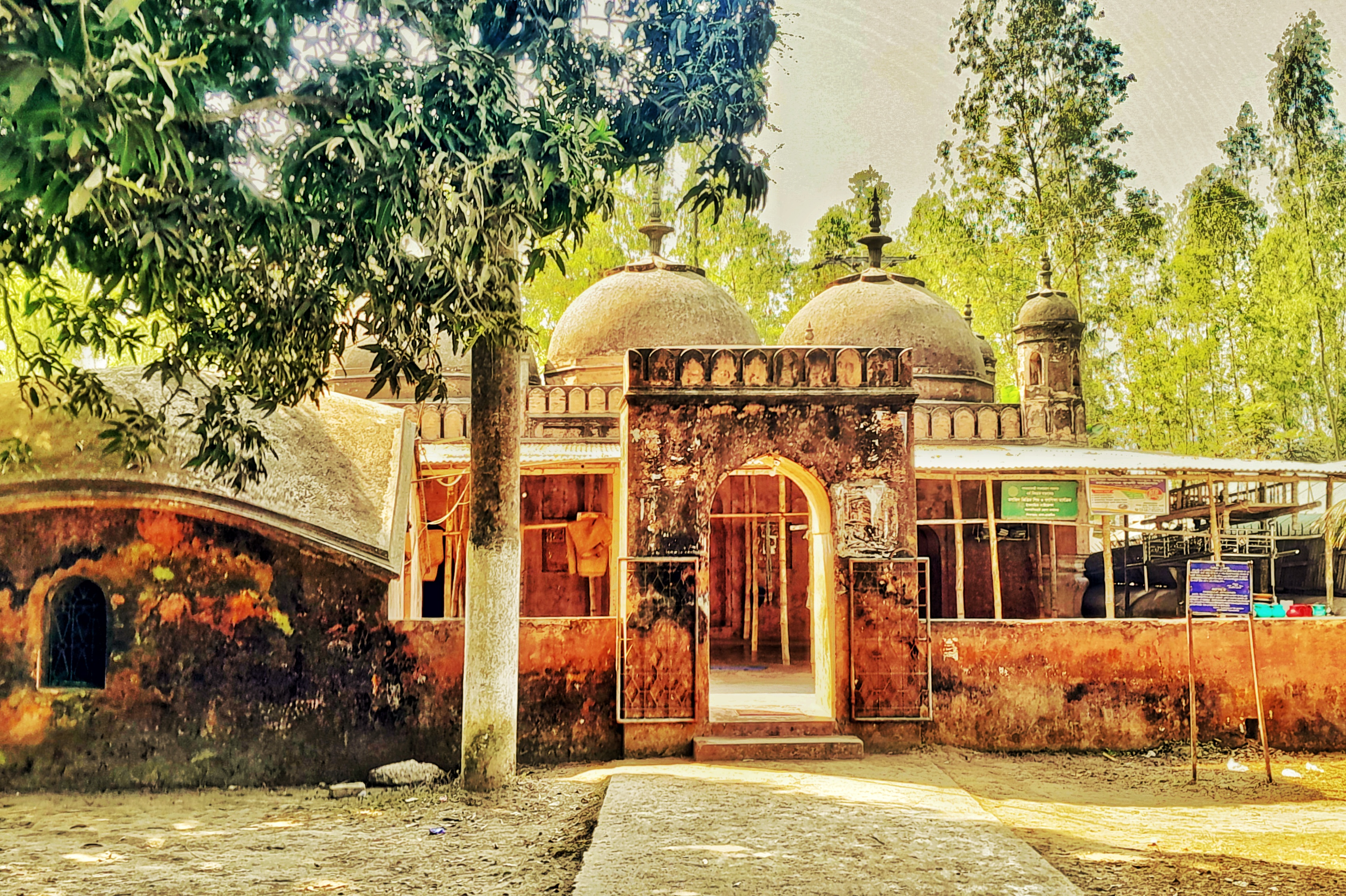 Nidaria Mosque bears witness to Mughal architecture, awaits urgent preservation