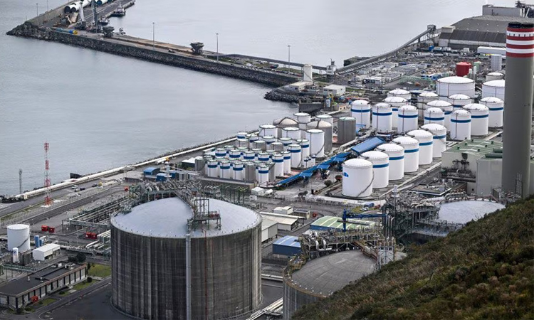 Asia stocks rebound after oil falls sharply