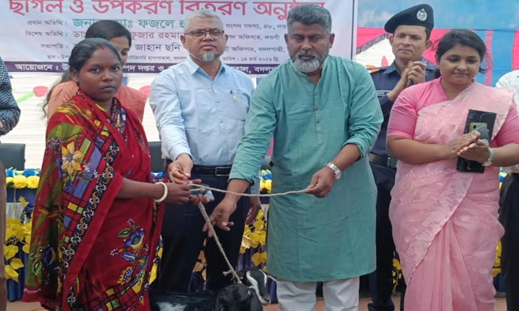 Goats distributed to 100 small ethnic families in Naogaon