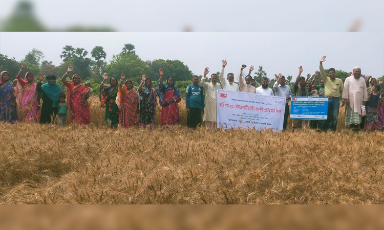 Farmers urged to promote biofortified wheat to cut zinc deficiency