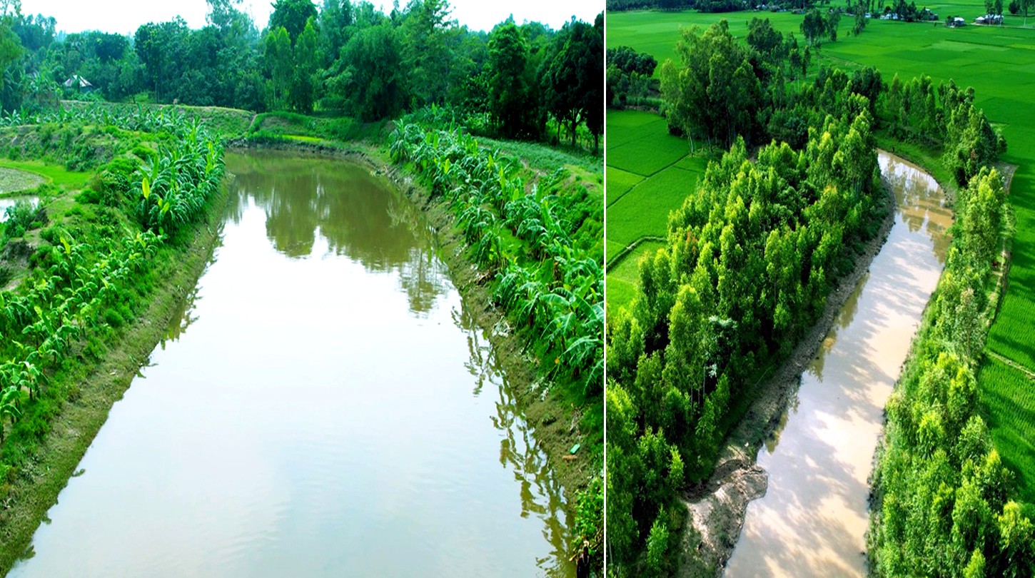 EIR project boosts crop yields, revives ecosystem in Rangpur region