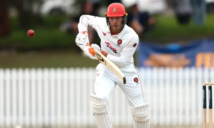 Test star Carey the hero as South Australia win Sheffield Shield final
