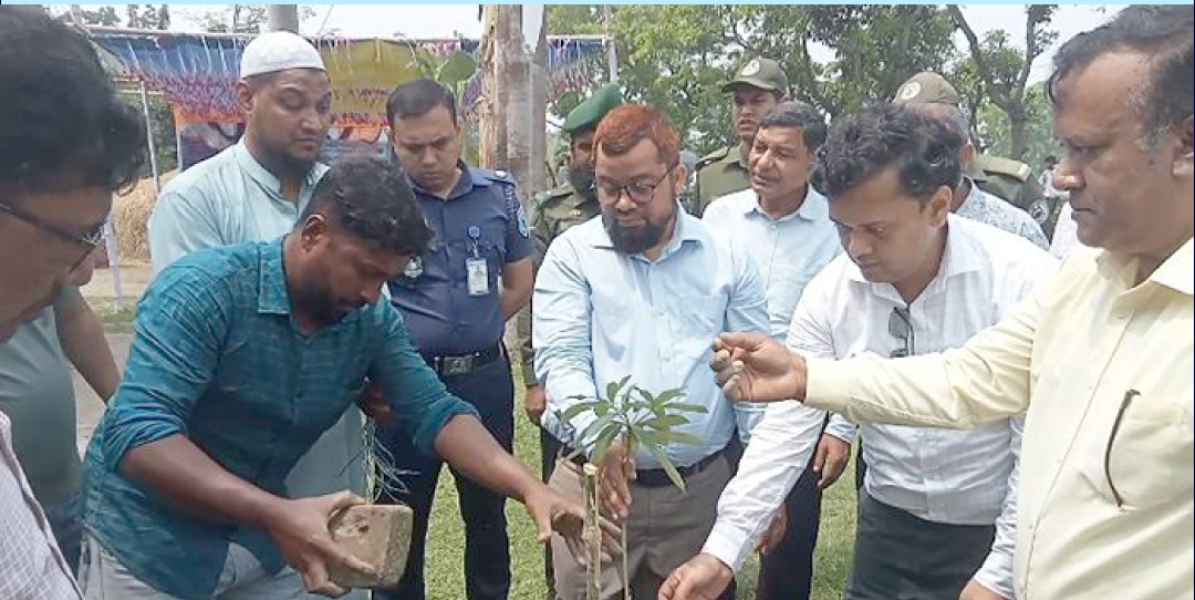 RHD launches tree plantation drive in Gaibandha