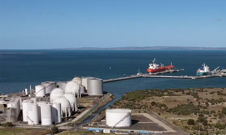 US crude benchmark opens over $113, Brent above $110