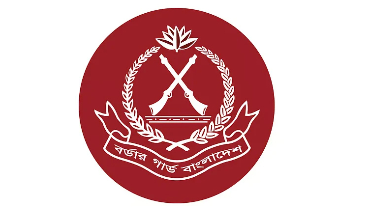 BGB destroys narcotics worth over Tk 31.34 crore in Kushtia