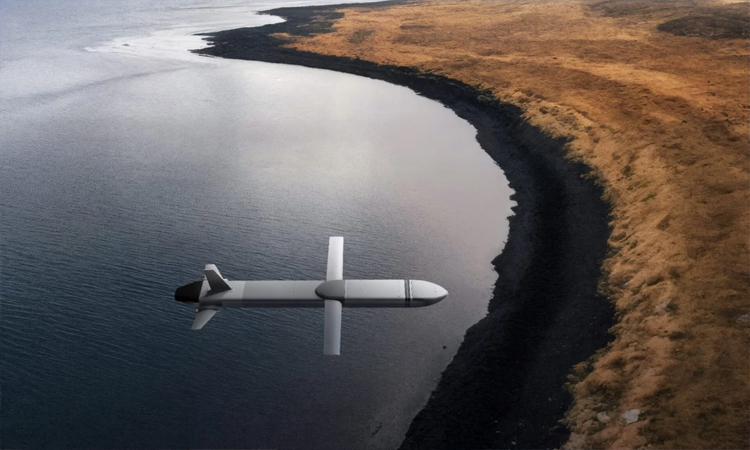 German defence giant Rheinmetall expands into cruise missiles