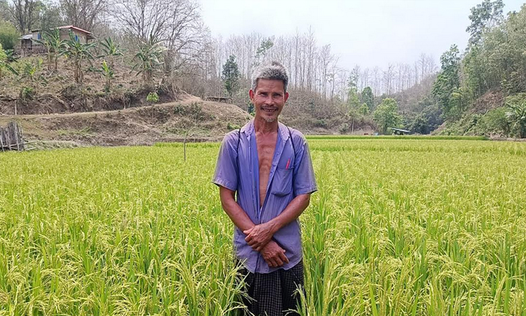 Kaptai remote area farmers succeed in BRRI Dhan-102 cultivation