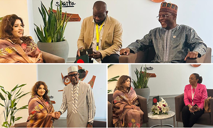 Shama holds series of meetings to boost ties with African nations