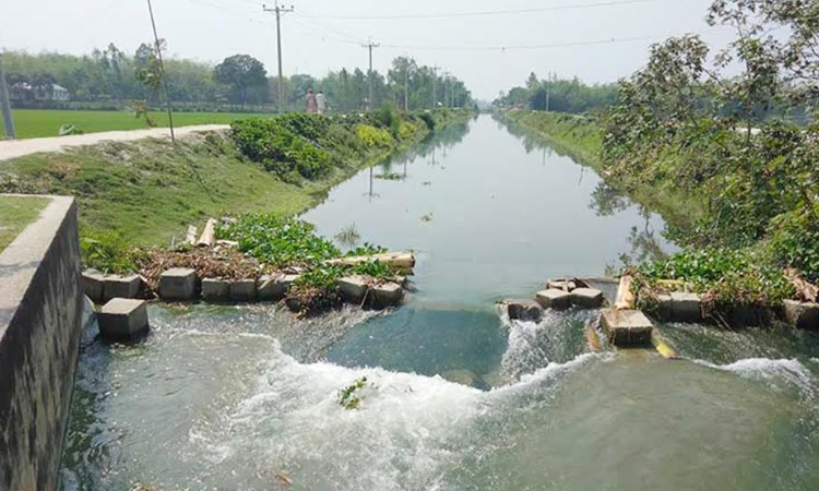 Teesta irrigation project saves Tk 60cr in diesel, benefits 1million farmers 