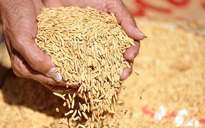 Ctg food dept surpasses Aman procurement target