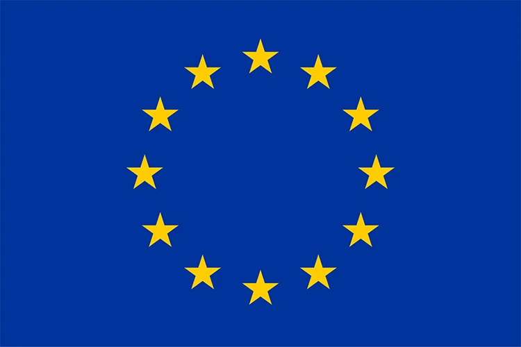 EU observer to submit final election report on Tuesday