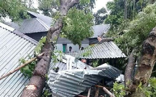 Three die as nor’wester sweeps Jamalpur