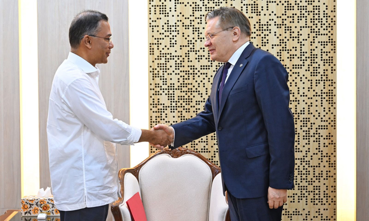 Rosatom director general calls PM