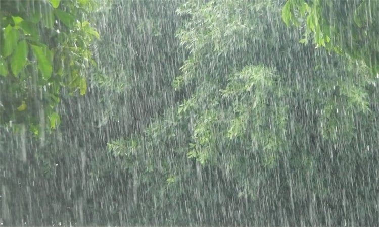 Heavy rains forecast in 5 divisions