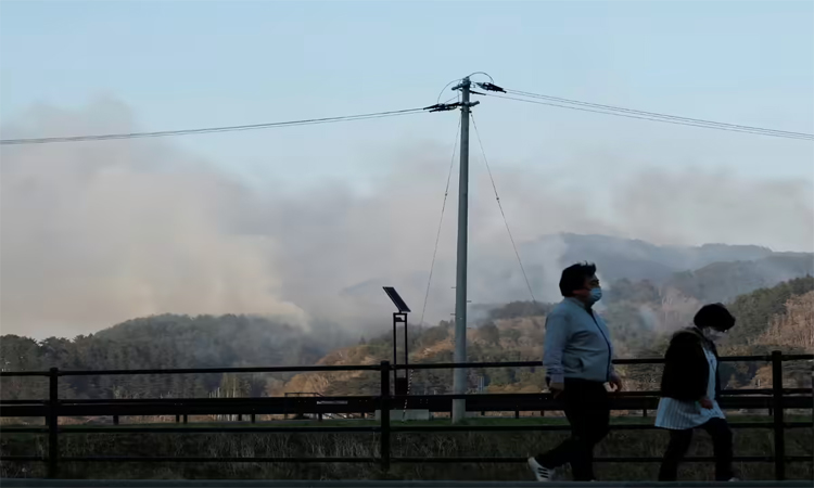 Japan contains one of its biggest wildfires in decades after 11-day battle