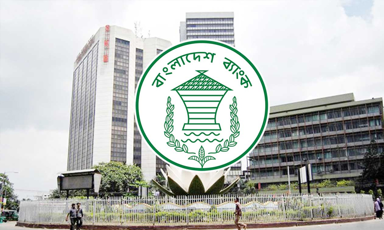 DSE seeks BB support for capital market reforms