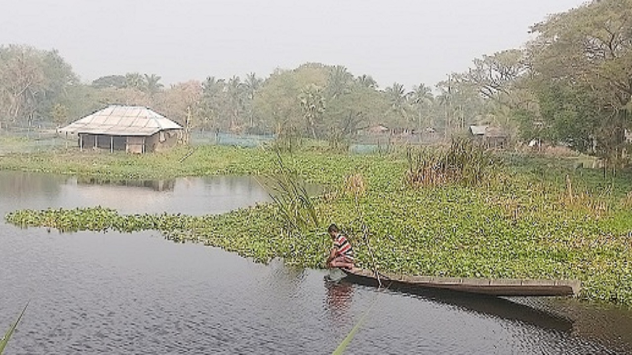 Khulna Agriculture Office Identifies 15 causes of Waterlogging