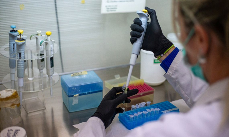 WHO confirms eight cases of Andes hantavirus in outbreak