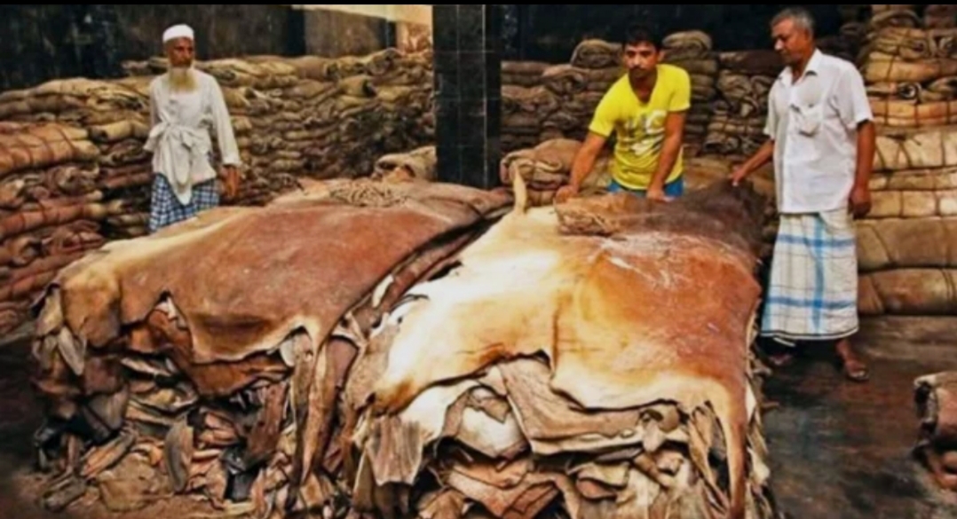 Call for setting up permanent rawhide market in Khulna 