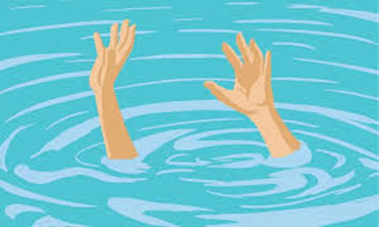 Two brothers drown in Tangail pond