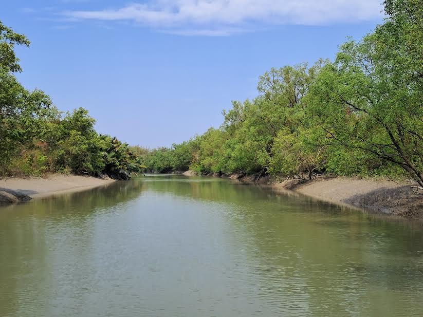 377 deer poachers arrested in one year in the Sundarbans