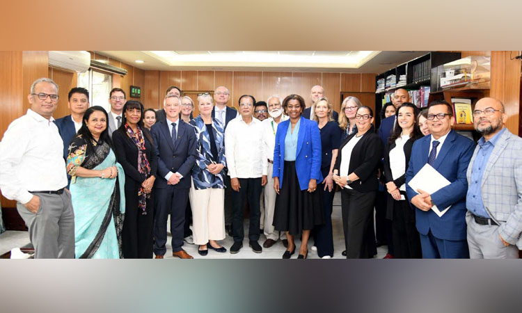Dulu seeks global cooperation for safe Rohingya repatriation