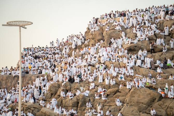 Pilgrims pray on Mount Arafat as hajj reaches peak