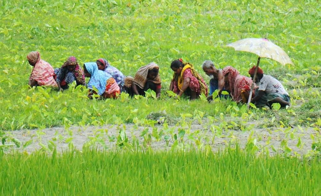 Northern region boils under heatwave 