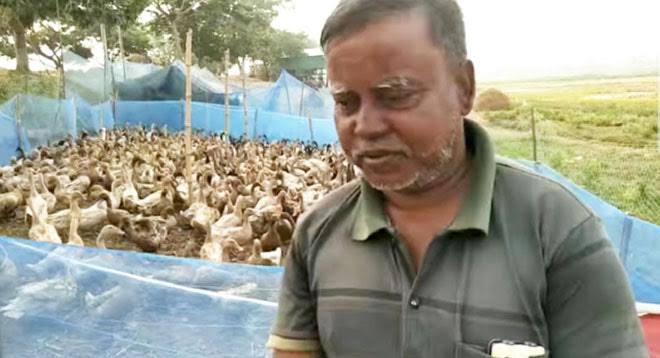 Duck farms at Beel Kumari, Tanore: Farmers dream of self-reliant