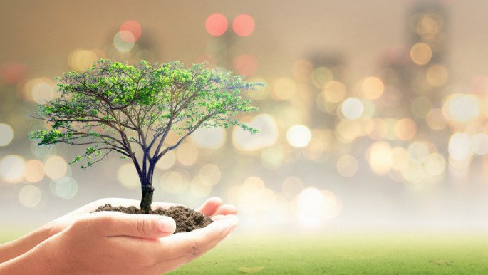 World Environment Day tomorrow