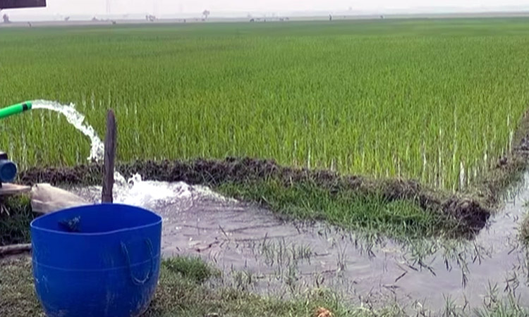 GK irrigation project redesigns to pump water from lower stage of Ganga