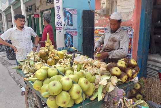 Natore turns into hub of palm fruit pulp trading