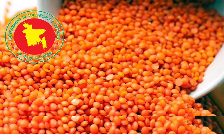 Govt to procure 10,000 MT lentils to stabilize market prices