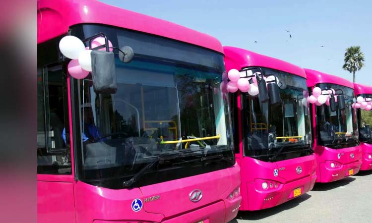 Pink bus service to be launched under women's management: Finance Minister