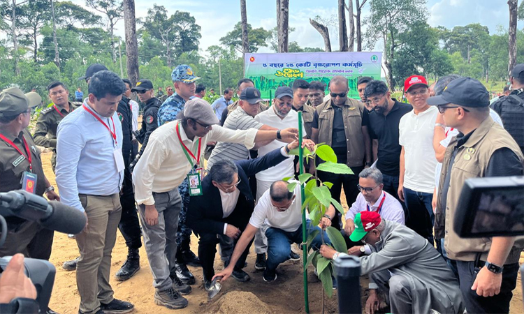 PM rolls out nationwide programme to plant 25 crore trees