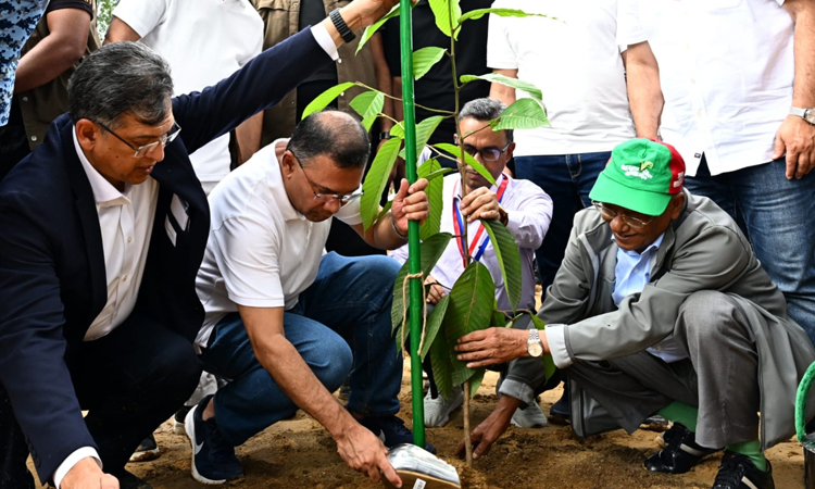 PM rolls out nationwide programme to plant 25 crore trees