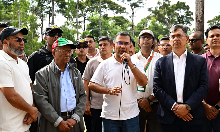 PM urges every citizen to plant tree to ensure clean environment 