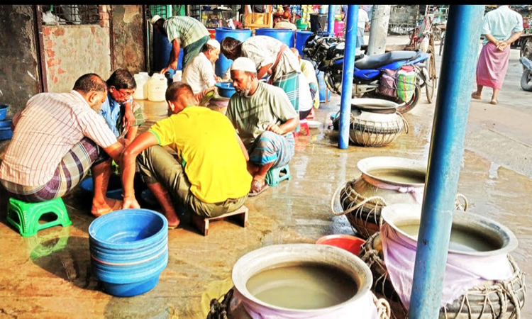 Shrimp fry crisis threatens shrimp farming in Bagerhat