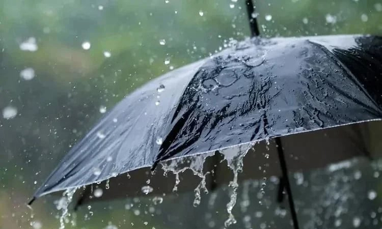 Rain likely in parts of the country